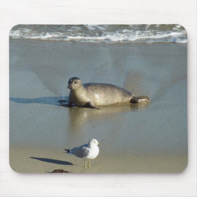 Mousepad Harbor Seal em La Jolla California (Frente)