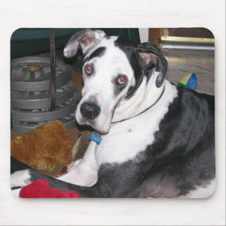 Mousepad Harlequin great dane