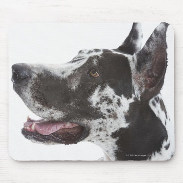 Mousepad Harlequin Great Dane (Frente)