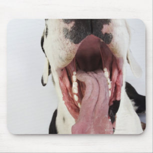 Mousepad Harlequin great dane com boca aberta, fim-acima,