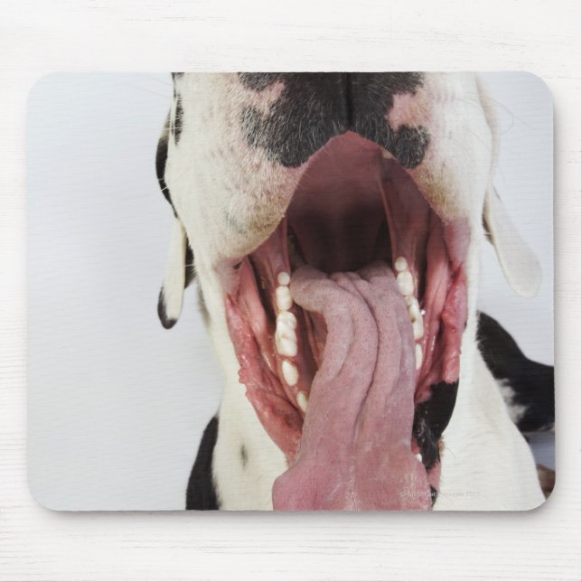 Mousepad Harlequin Great Dane com boca aberta, perto. (Frente)