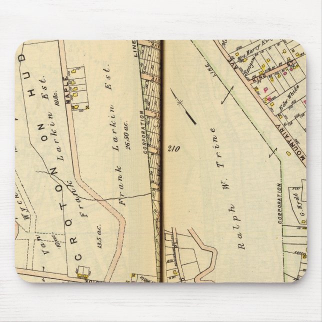 Mousepad Harmon Park, Nova York (Frente)