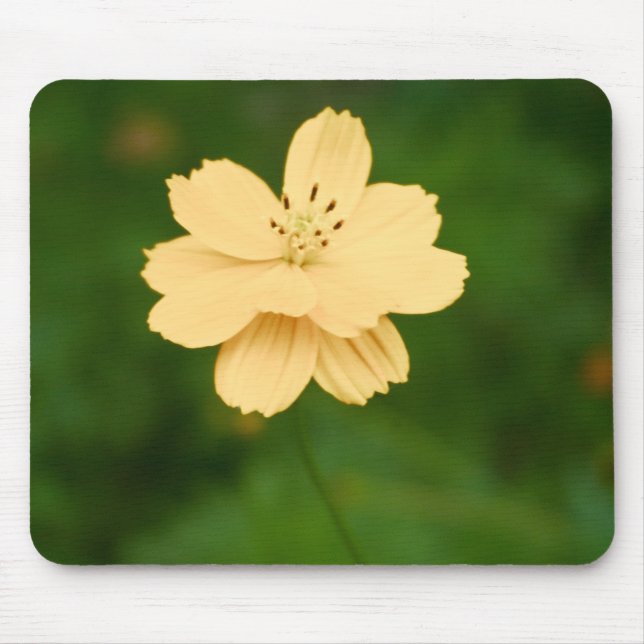 Mousepad Harmonia Pacífica (Frente)