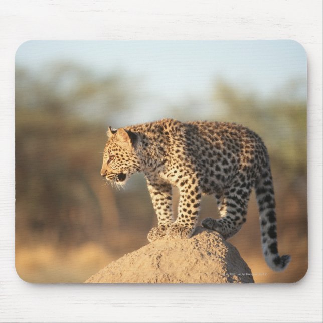 Mousepad Harnas Wildlife Sanctuary, Namíbia (Frente)