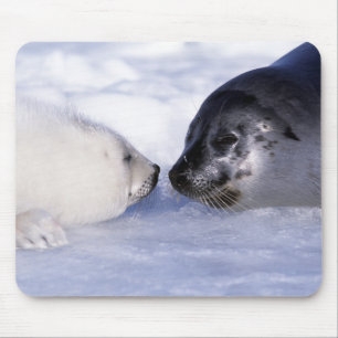 Mousepad Harp Seal Mãe com Pup