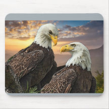 Harriet e M15 quando olho nos seus olhos