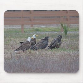 Mousepad Harriet M15 E10 e E11