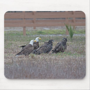Mousepad Harriet M15 E10 e E11