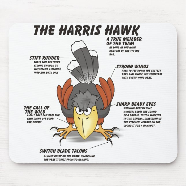 Mousepad Harris Hawk desenhos animados (Frente)