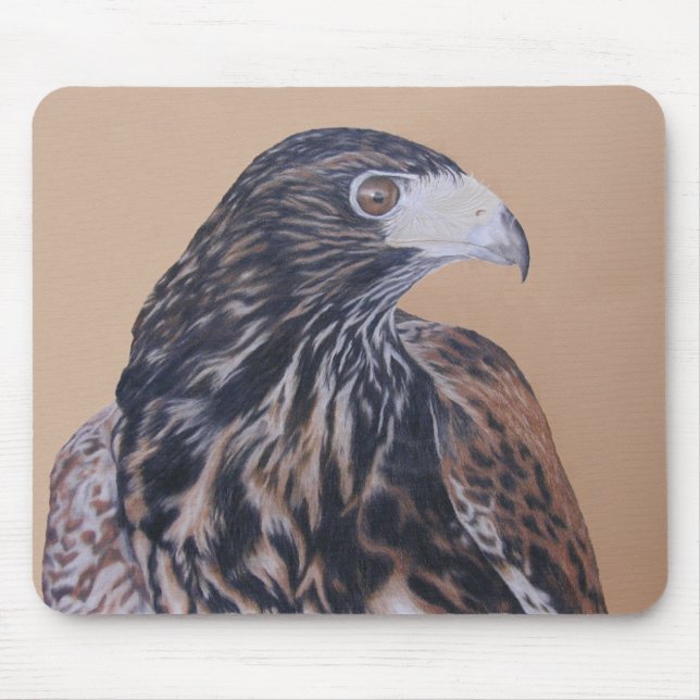 Mousepad Harris Hawk imaturo (Frente)