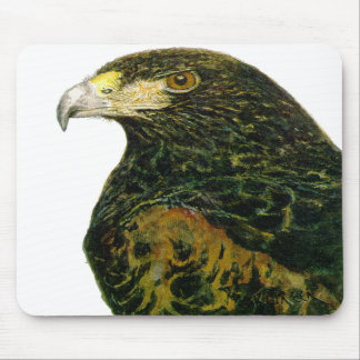 Mousepad Harris Hawk o tapete do rato