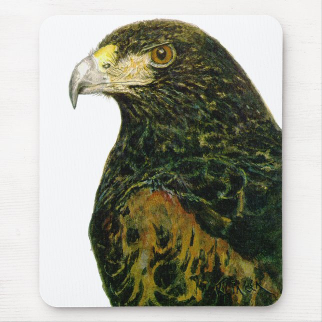 Mousepad Harris Hawk o tapete do rato (Frente)