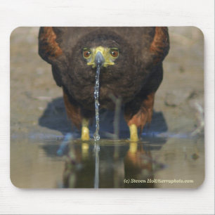 Mousepad Harris sedento Hawk