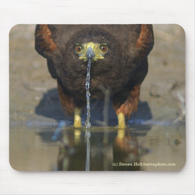 Mousepad Harris sedento Hawk (Frente)