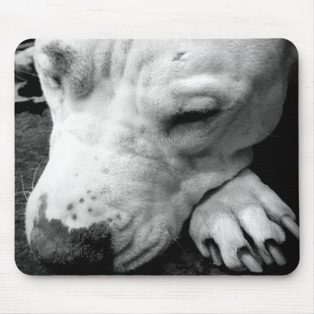 Mousepad harry potter cão-cicatriz, touro branco (Frente)