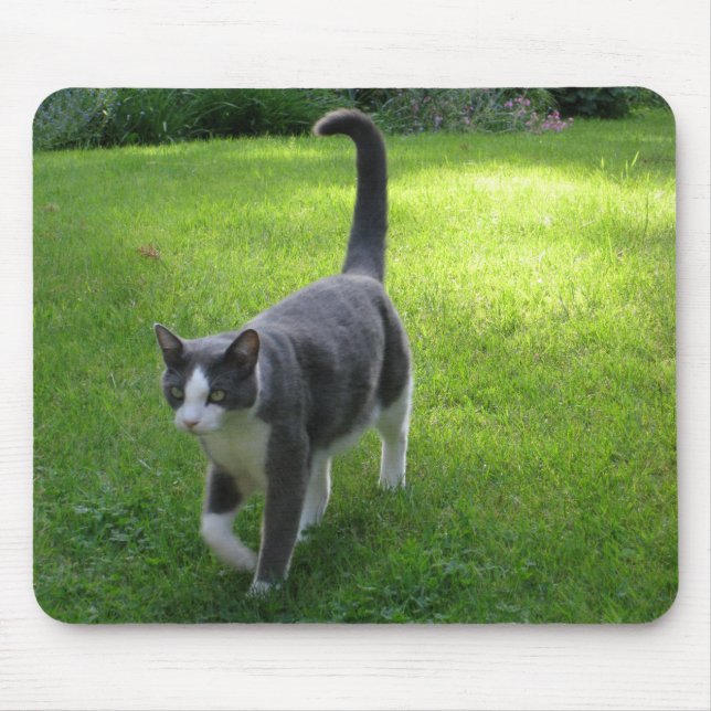 Mousepad Harrypad 1 (Frente)