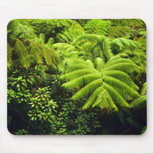 Mousepad Havaí, Ilha Grande, Vegetação tropical exuberante 