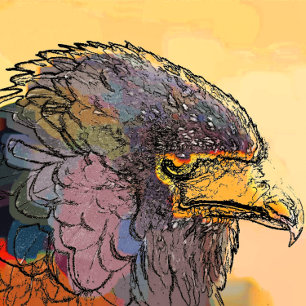 MOUSEPAD HAWK