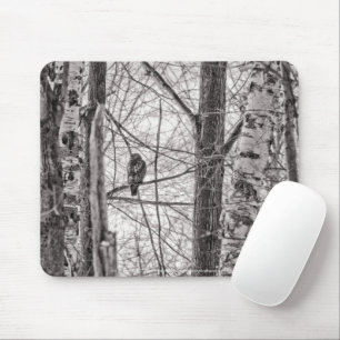 Mousepad Hawk P8443 de cauda vermelha
