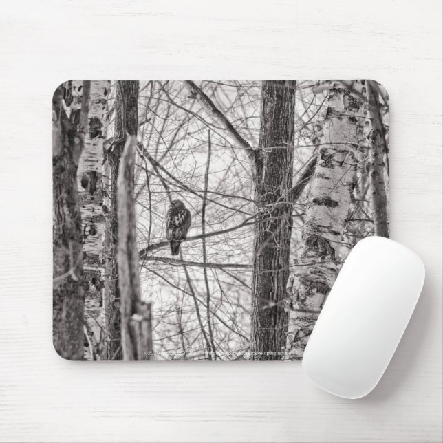 Mousepad Hawk P8443 de cauda vermelha (Com mouse)