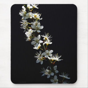 Mousepad Hawthorn Flowers mpcn