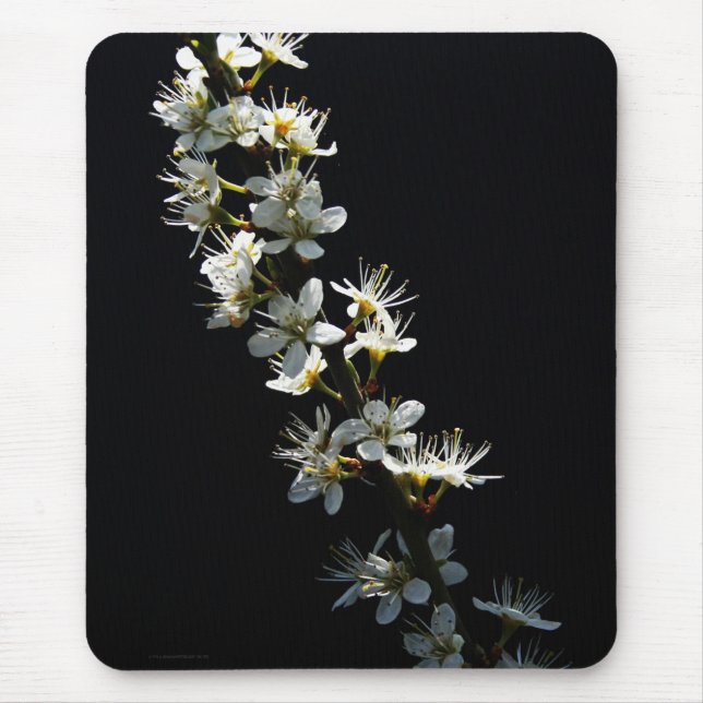 Mousepad Hawthorn Flowers mpcnm (Frente)