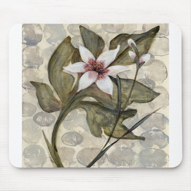 Mousepad HAZ26 Amazónia 4.tif (Frente)