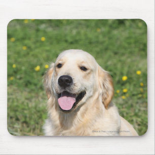 Mousepad Headshot 1 do golden retriever