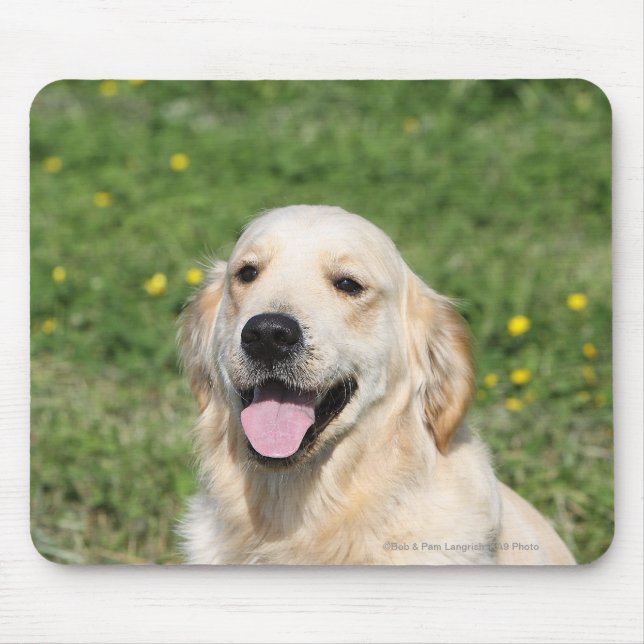 Mousepad Headshot 1 do golden retriever (Frente)