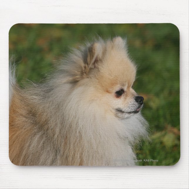Mousepad Headshot 2 de Pomeranian (Frente)