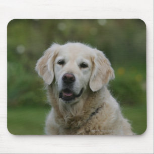Mousepad Headshot 2 do golden retriever