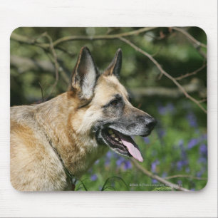 Mousepad Headshot 3 do german shepherd