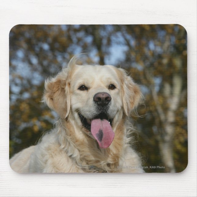 Mousepad Headshot 3 do golden retriever (Frente)