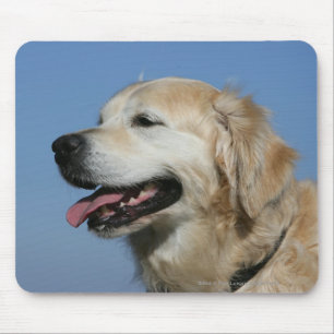 Mousepad Headshot 4 do golden retriever