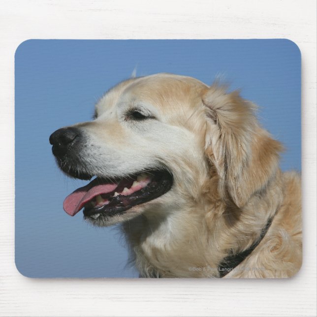 Mousepad Headshot 4 do golden retriever (Frente)