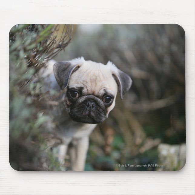 Mousepad Headshot do filhote de cachorro do Pug da jovem (Frente)