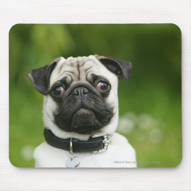 Mousepad Headshot do Pug (Frente)