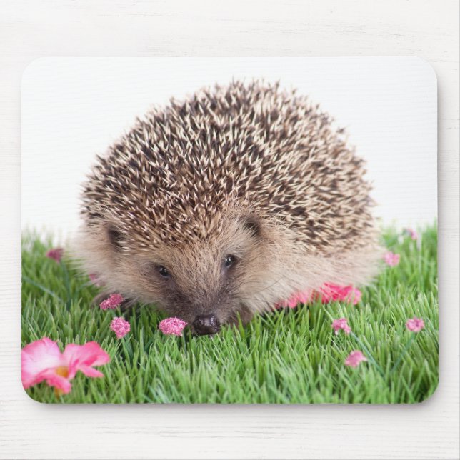 Mousepad hedgehog, (Frente)