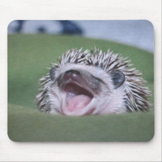 Mousepad hedgy
