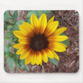 Mousepad Helianthus Annuus
