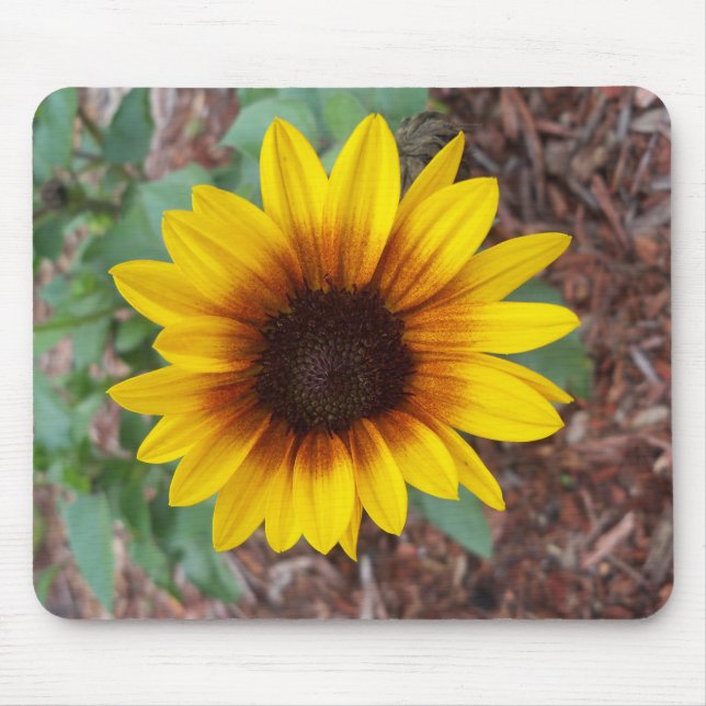 Mousepad Helianthus Annuus (Frente)