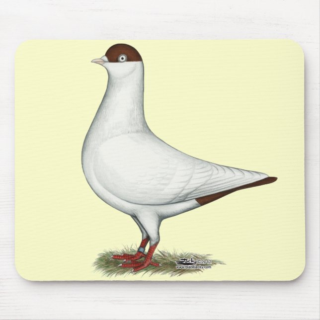 Mousepad Helmet Pigeon Holandês (Frente)