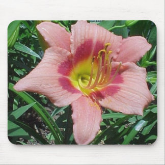 Mousepad Hemerocallis da quebra da cereja