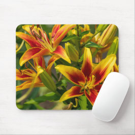Mousepad Hemerocallis Laranja Fotografia de Flor Canadense