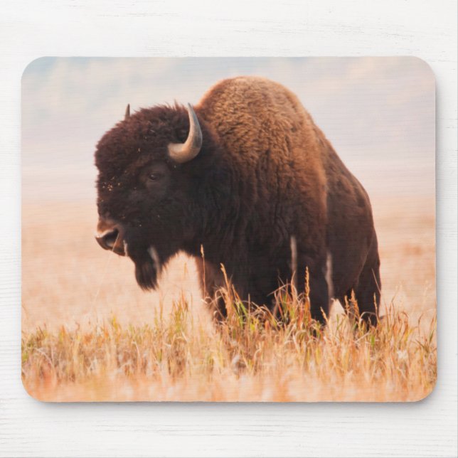 Mousepad Herança Americana Bison (Bison Bison) Em Teton 2 (Frente)