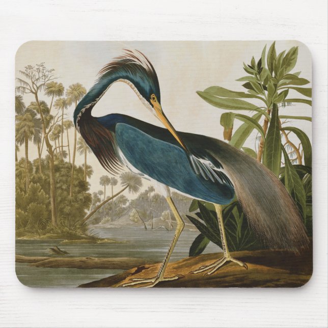 Mousepad Herão Azul Audubon (Frente)