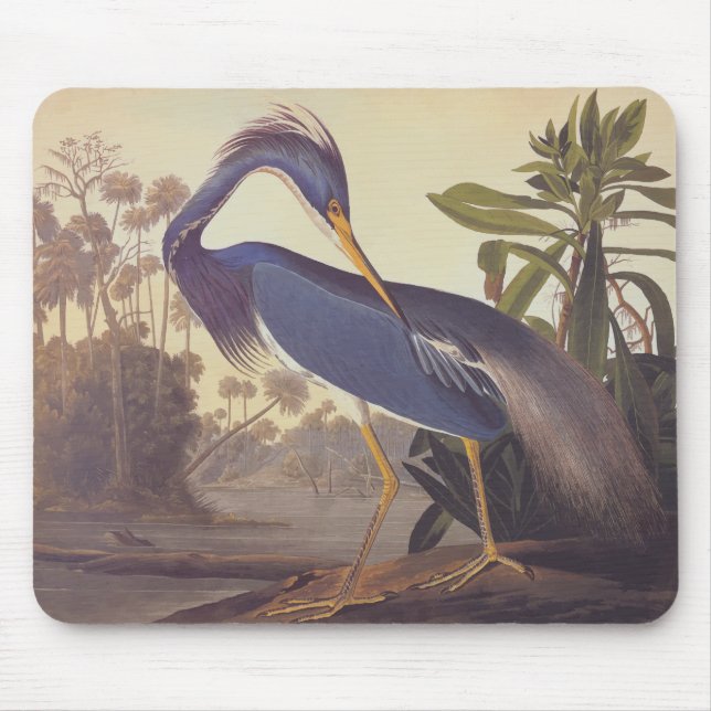 Mousepad Herão da Louisiana de Audubon ou Herão Tricolor (Frente)