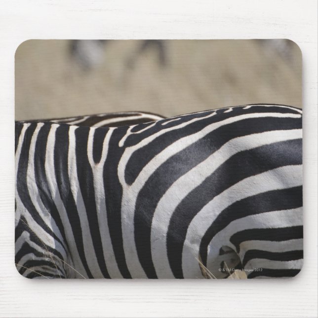 Mousepad Herdeiro de Zebras, Masai Mara Game Reserve, (Frente)