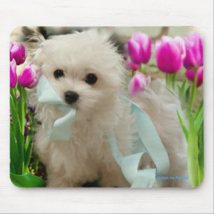 Mousepad Hermes o maltês