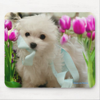 Mousepad Hermes o maltês